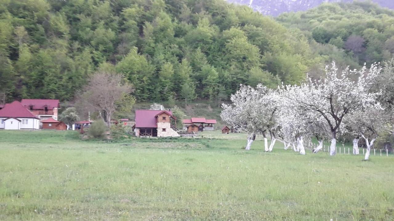 Camp &Apartmens Scepanovic Mojkovac Zewnętrze zdjęcie