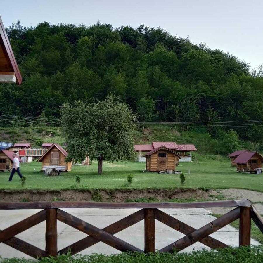 Camp &Apartmens Scepanovic Mojkovac Zewnętrze zdjęcie