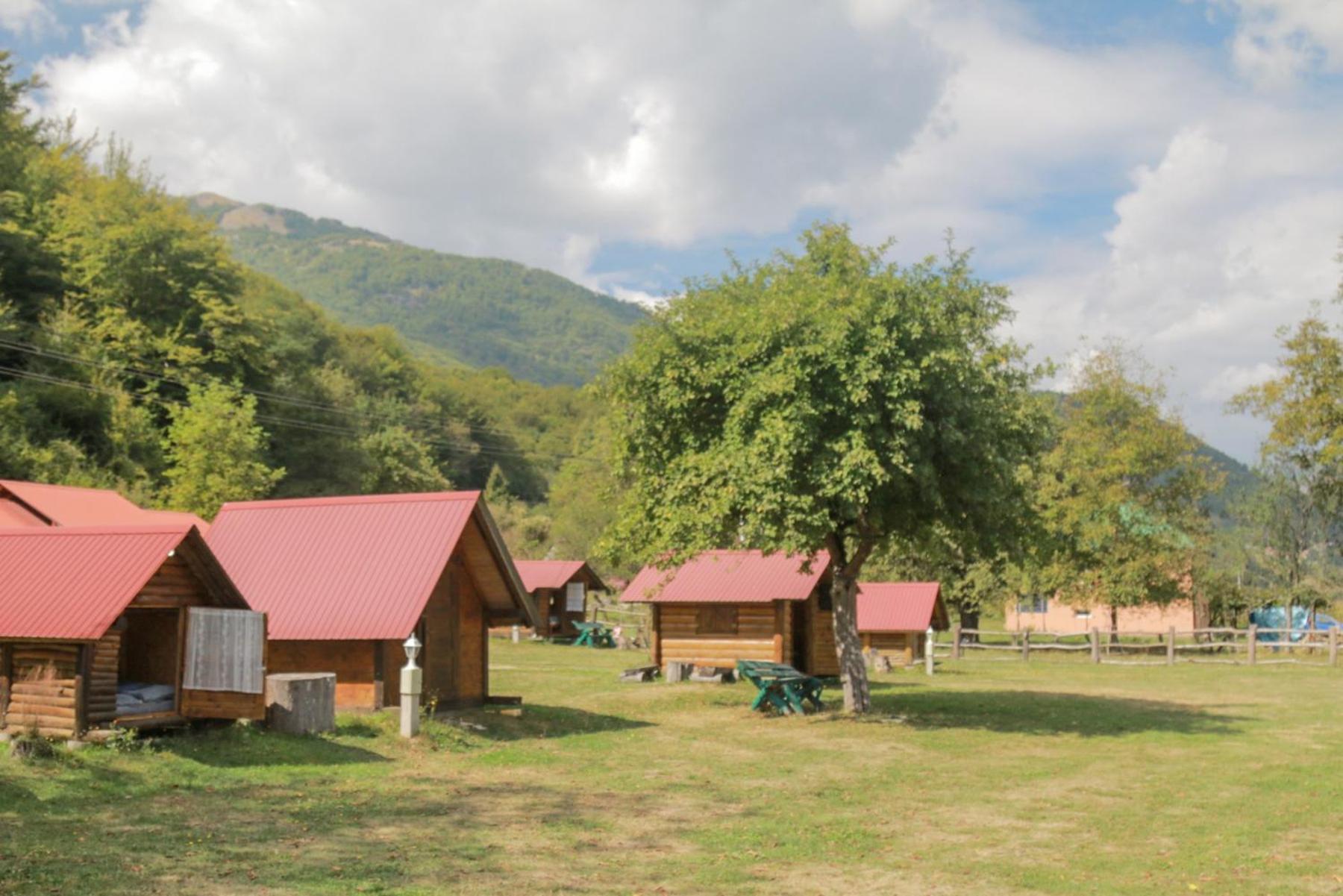 Camp &Apartmens Scepanovic Mojkovac Zewnętrze zdjęcie